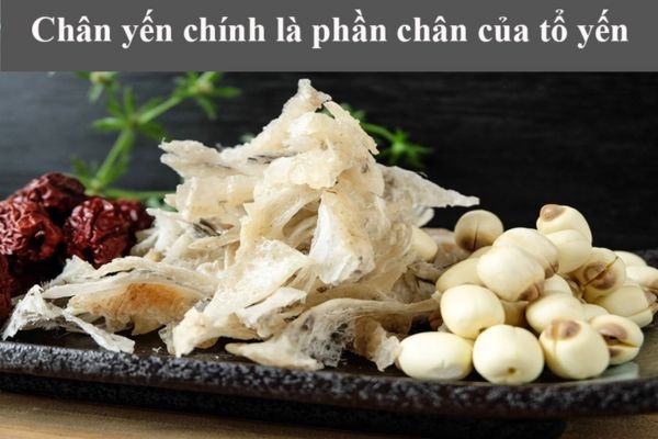 Chân Yến -Tuyệt Phẩm Tinh Tuyết Từ Thiên Nhiên